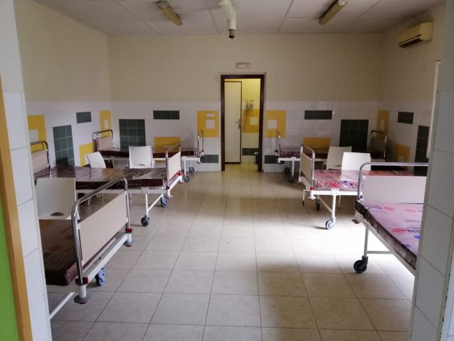 actec-news-covid-monkole-1